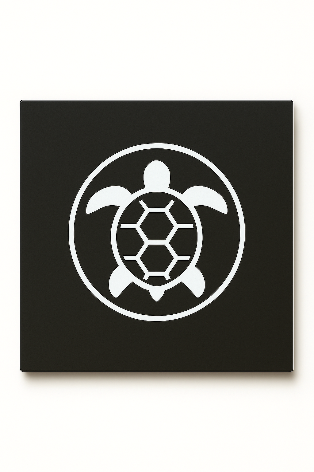 Turtle Stencil